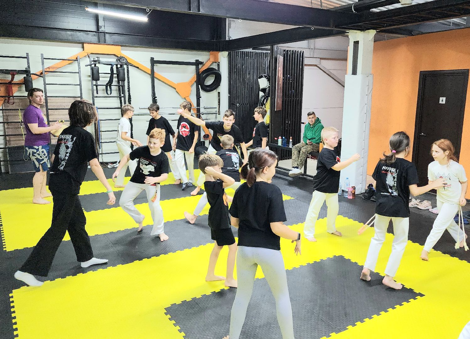 Подмосковье, Домодедово, День тренера, Спортвный клуб, Капоэйра, Зеленый пояс,