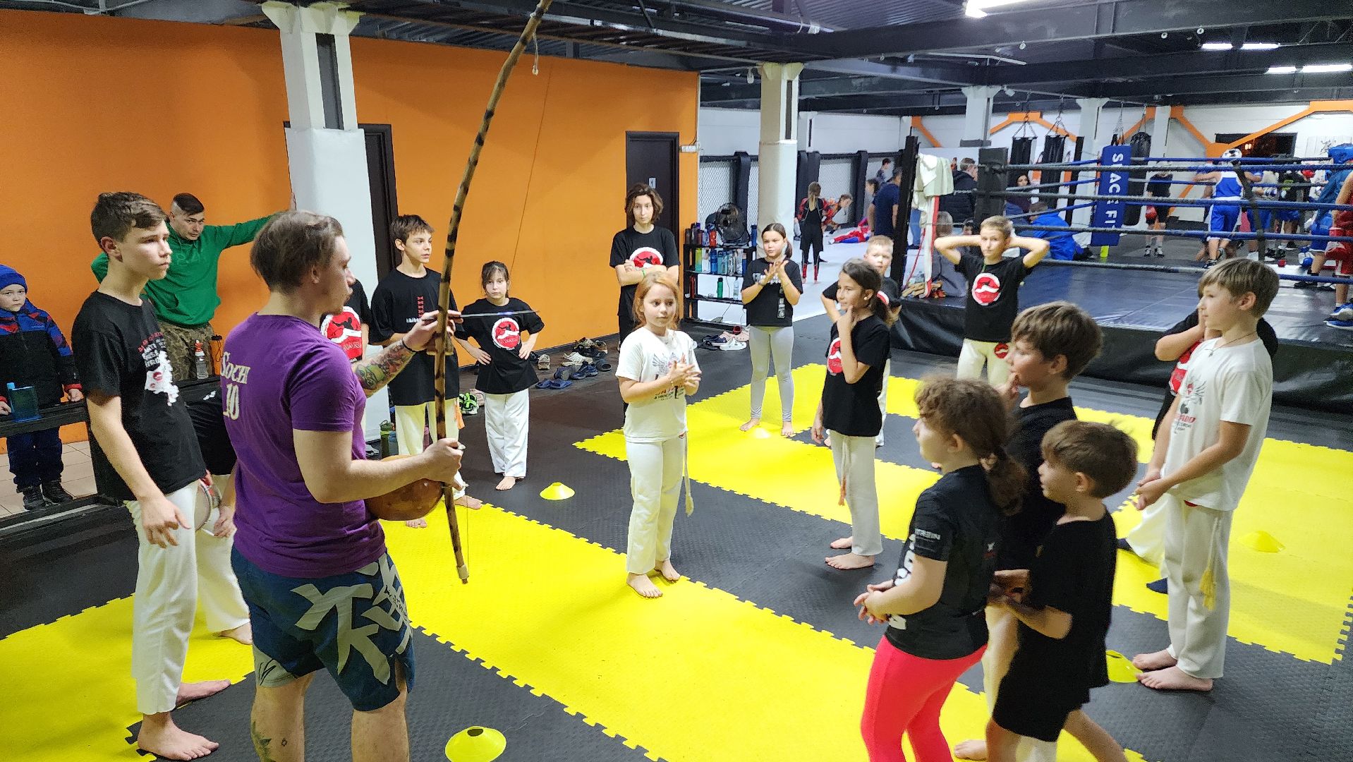 Подмосковье, Домодедово, День тренера, Спортвный клуб, Капоэйра, Зеленый пояс,