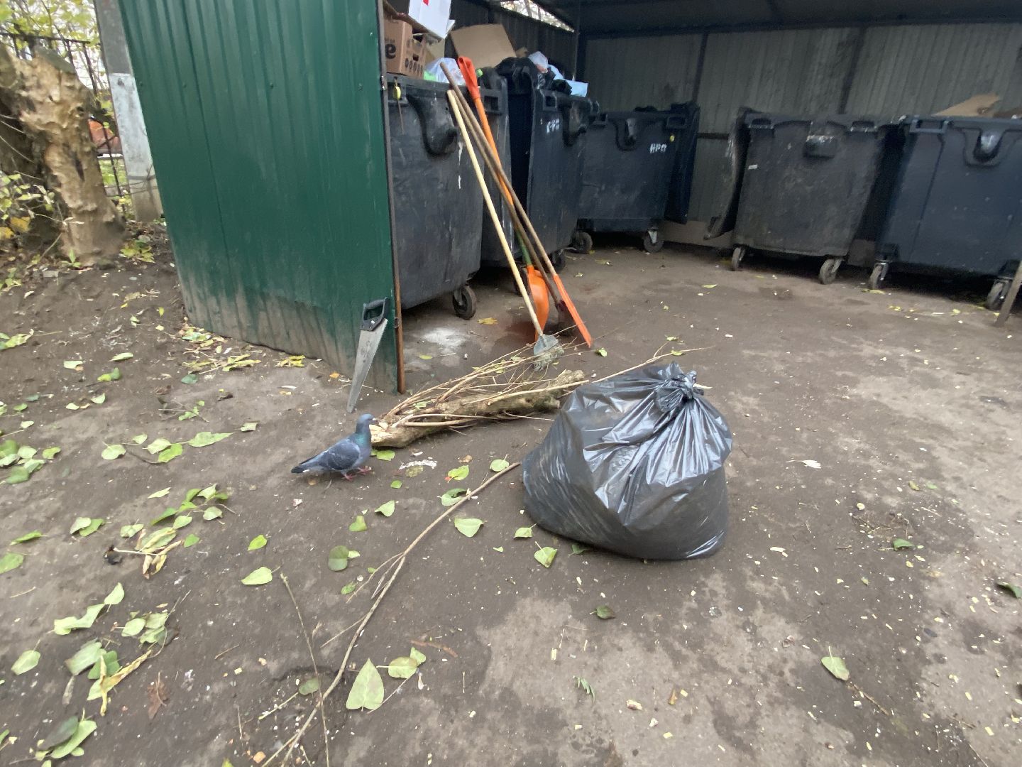 Опилки, Утилизация, Ветки,