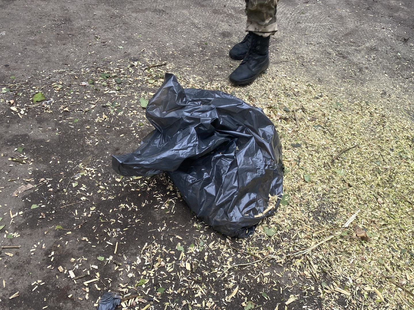 Опилки, Утилизация, Ветки,