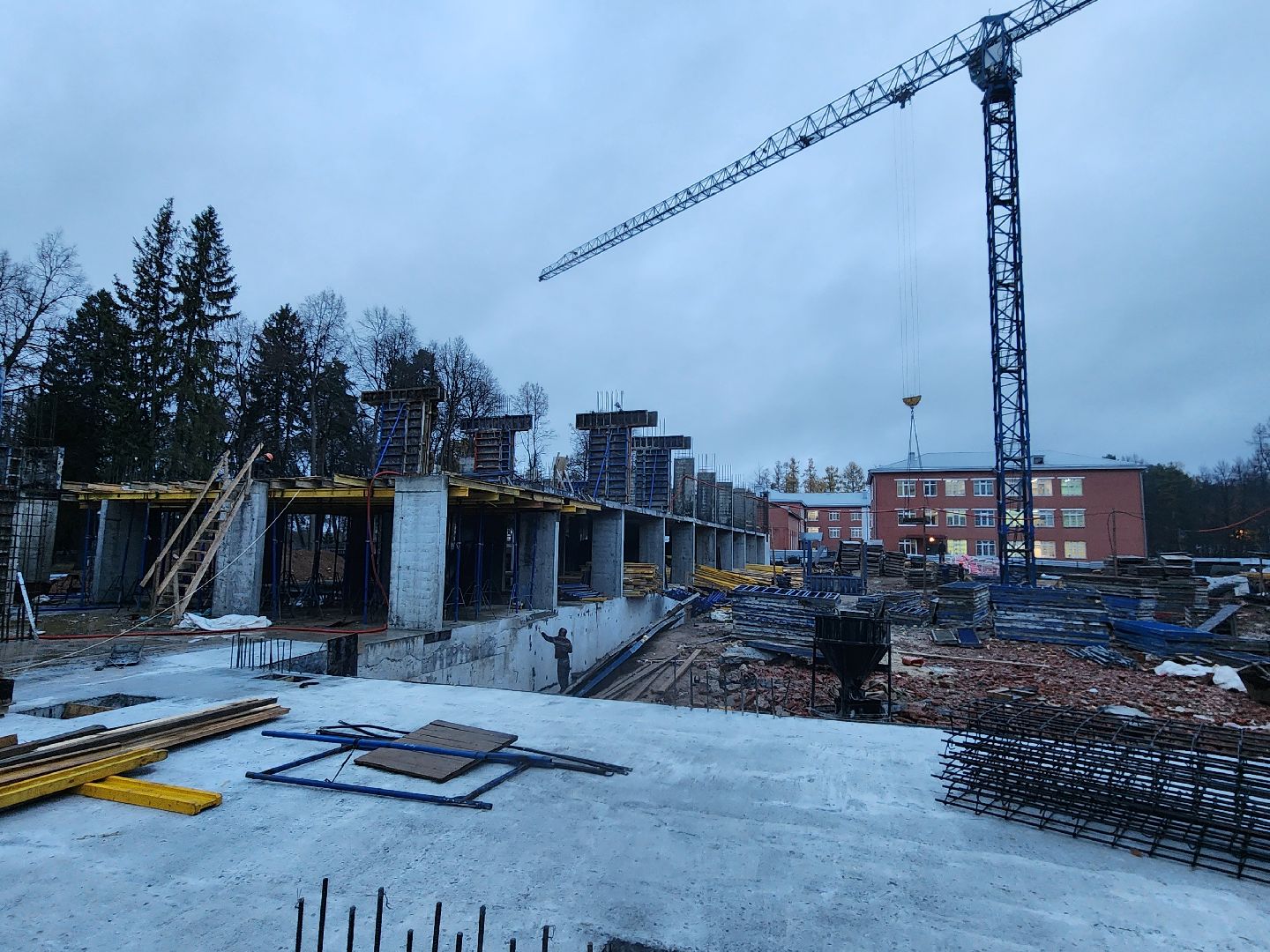 Чехов, поселок Мещерское, психиатрическая больница, лечебный корпус, реконструкция, обновление, строительство,