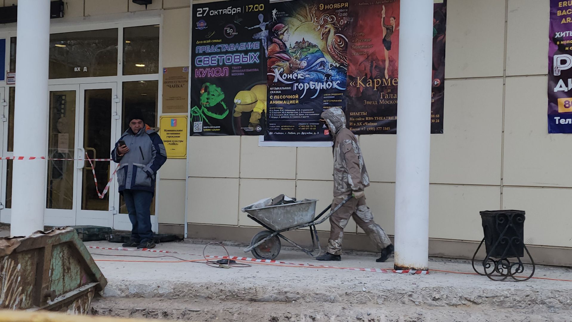 входная группа, Ремонт, ступени, пандус, лобня,