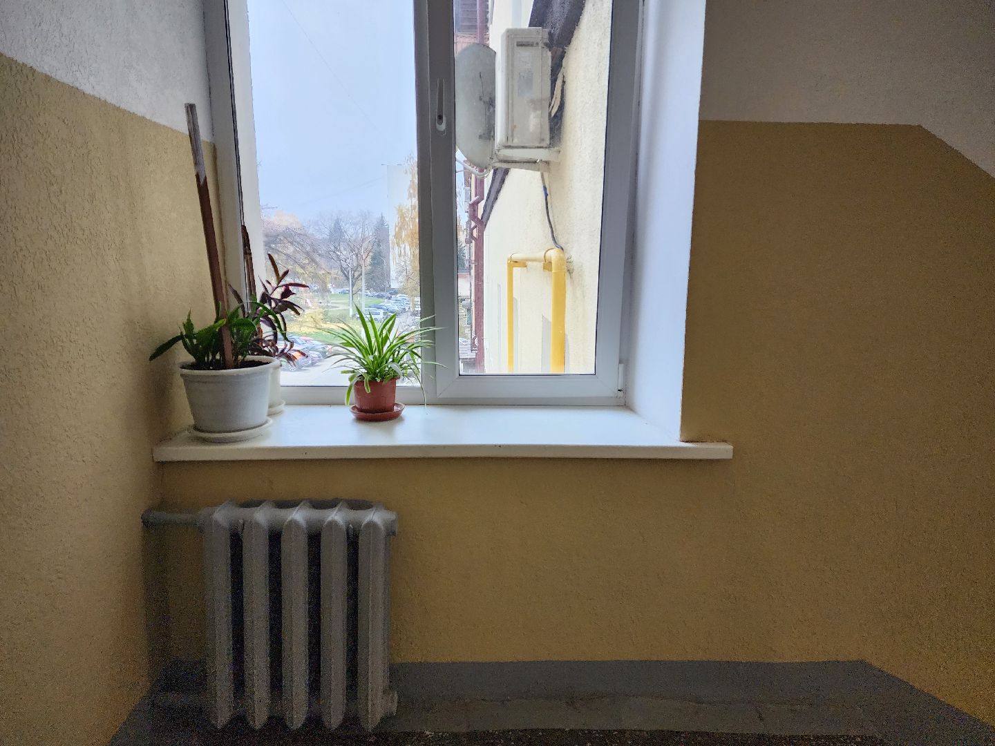 раменское, жкх, ремонт подъездов многоквартирных домов,