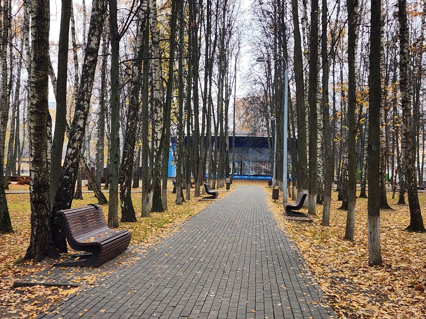 королёв, центральный парк, подготовка к зиме,