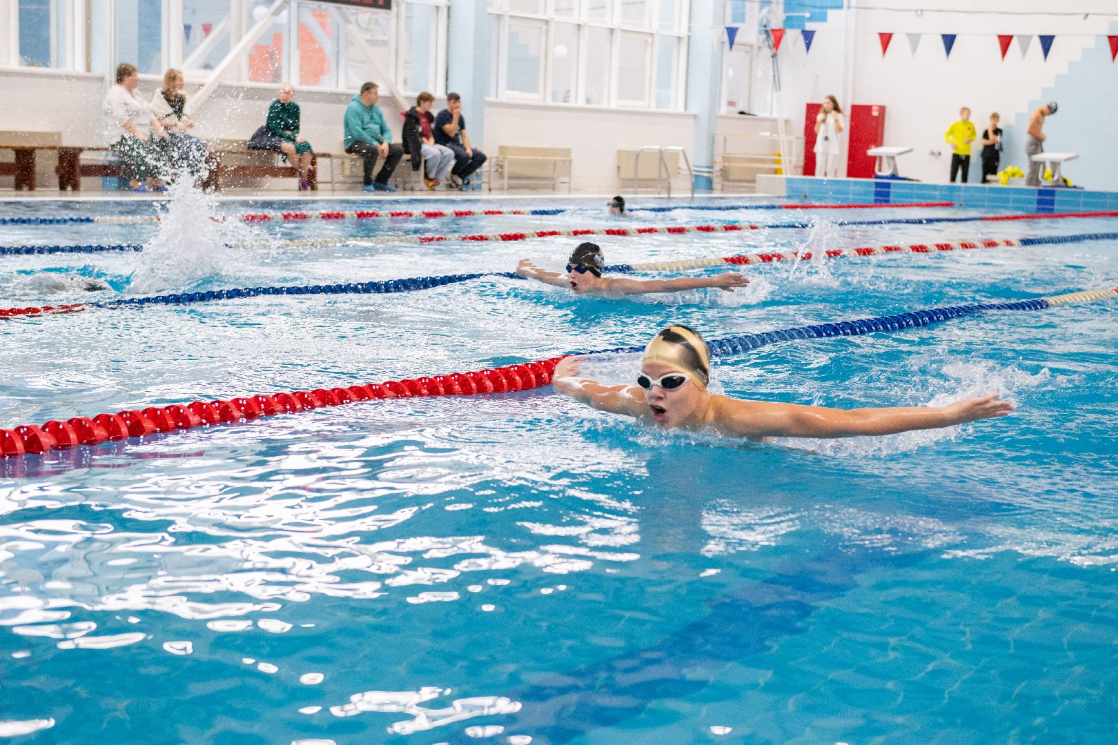 осенние старты, лыткарино плавание, дворец спорта, арена лыткарино,