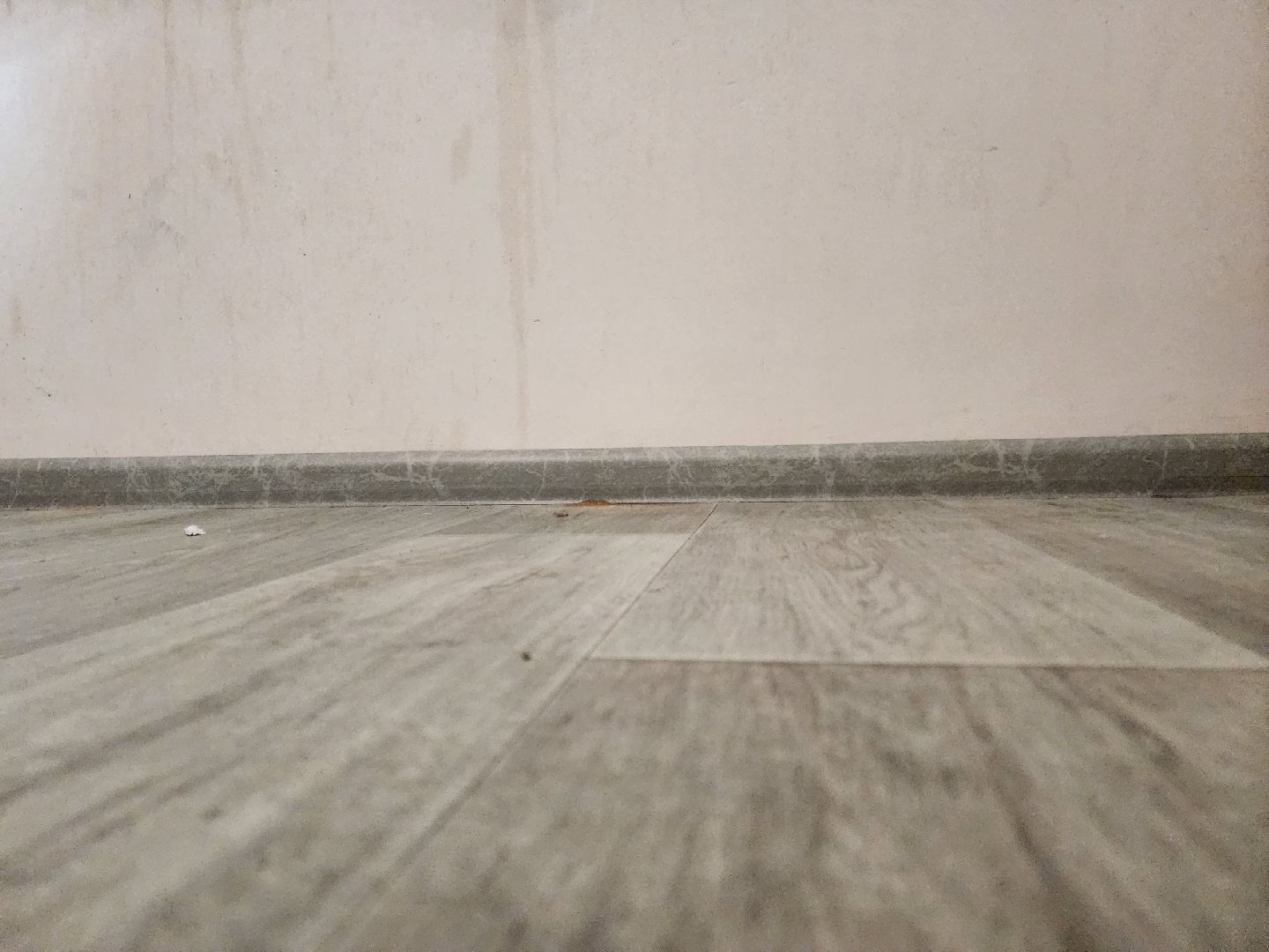 Подольск, выездная администрация, ремонт пола, обращение к главе города, обращение жителей,