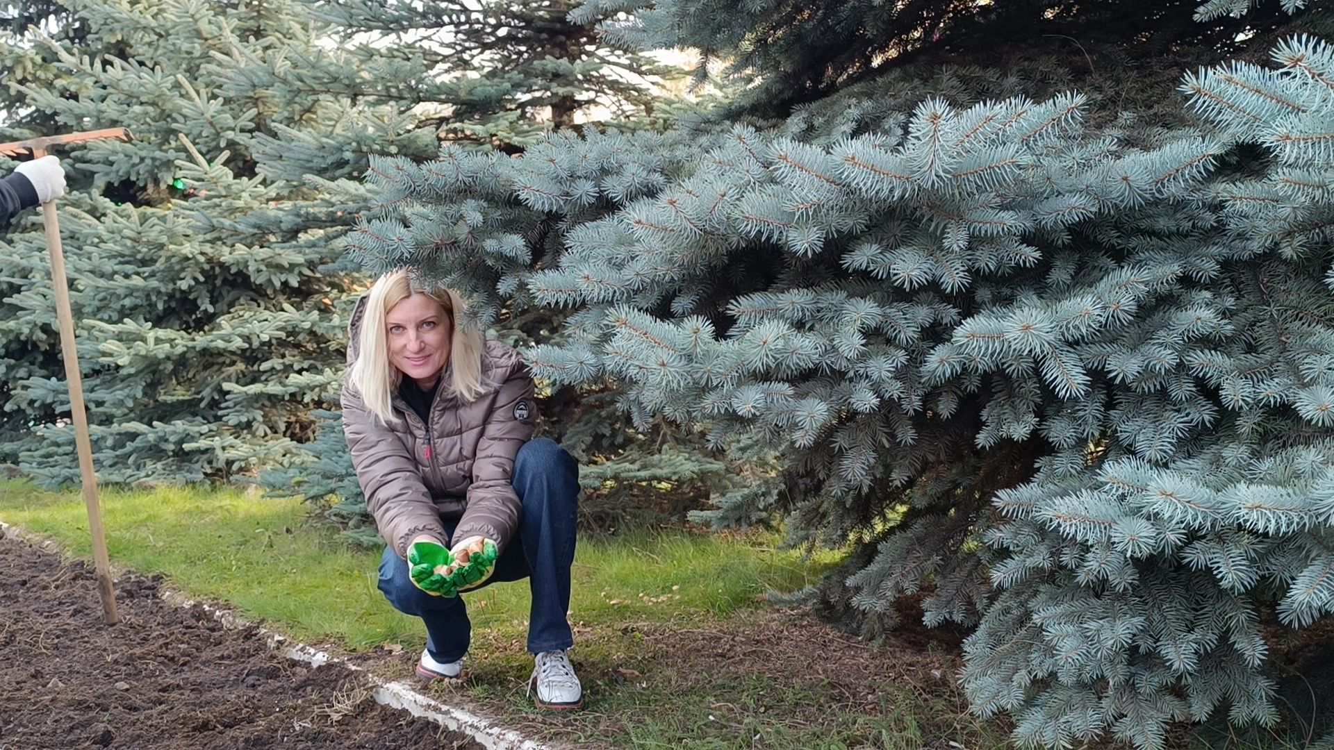 цветы, благоустройство, озеленение, лобня,