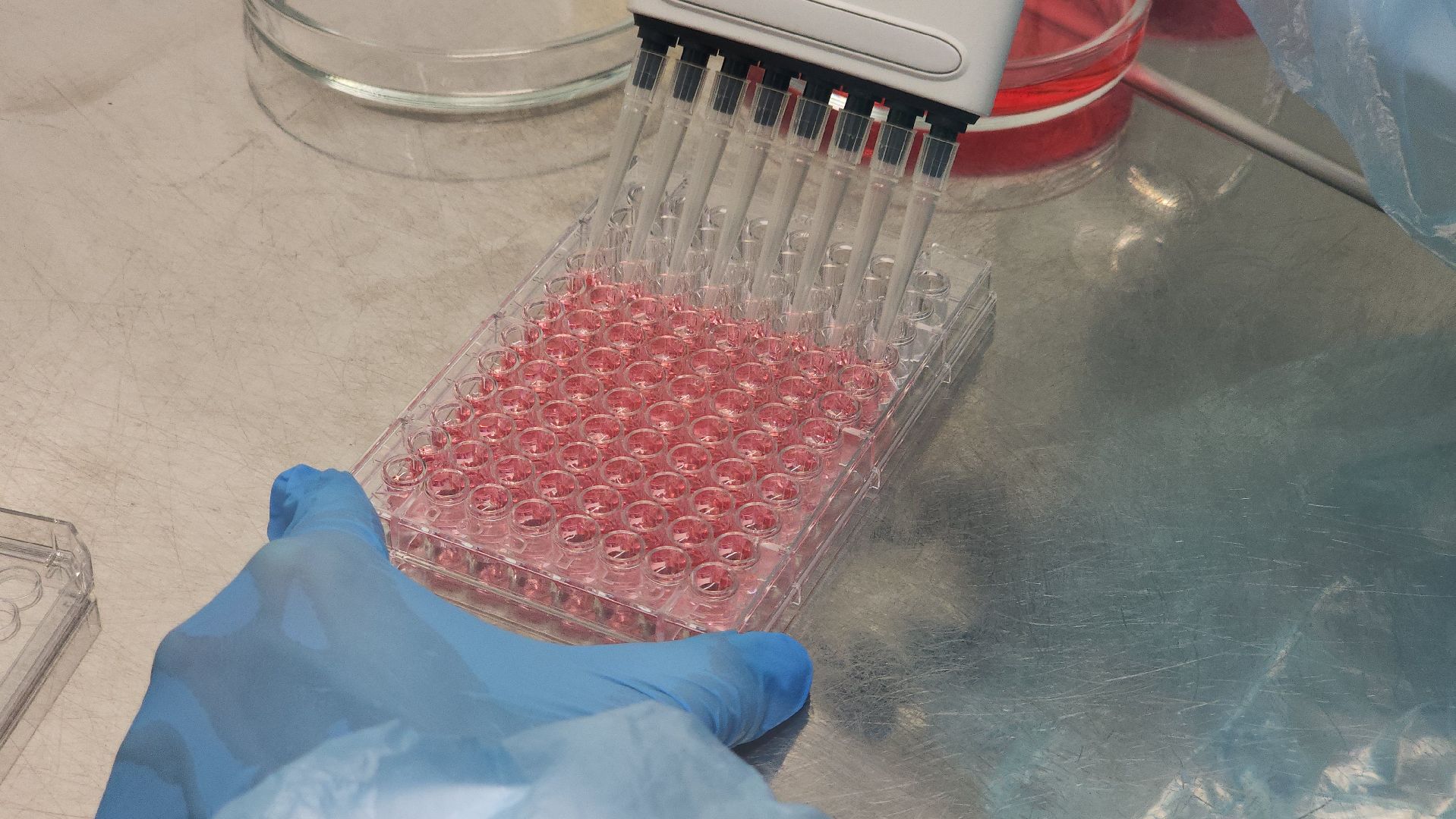 предприятие, молодые специалисты, Лосино-Петровский,