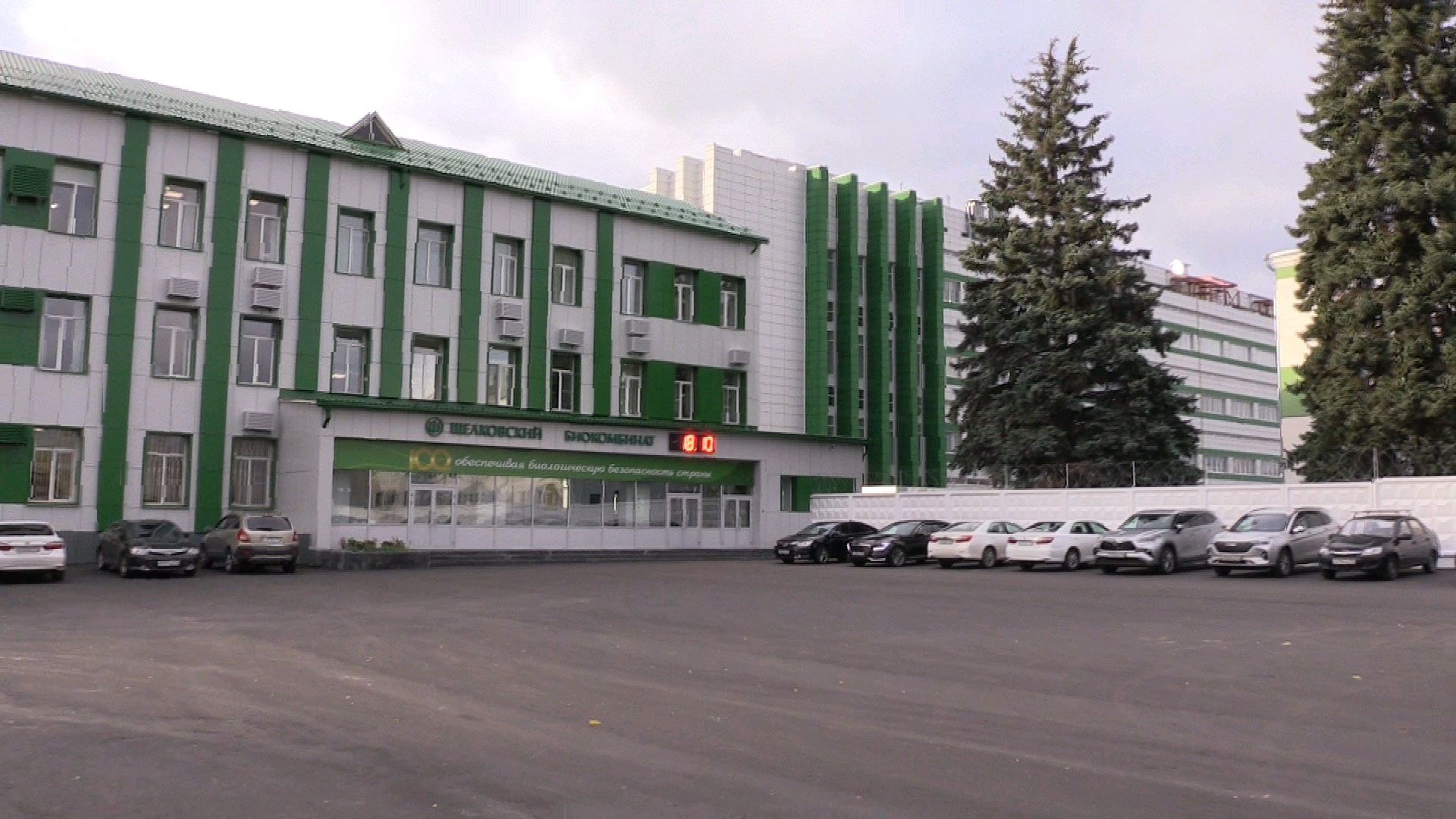 предприятие, молодые специалисты, Лосино-Петровский,