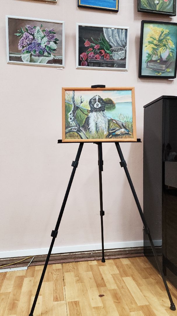 электросталь, культура подмосковья, культура электростали, художник, библиотека, библиотека паустовского, выставка картин,