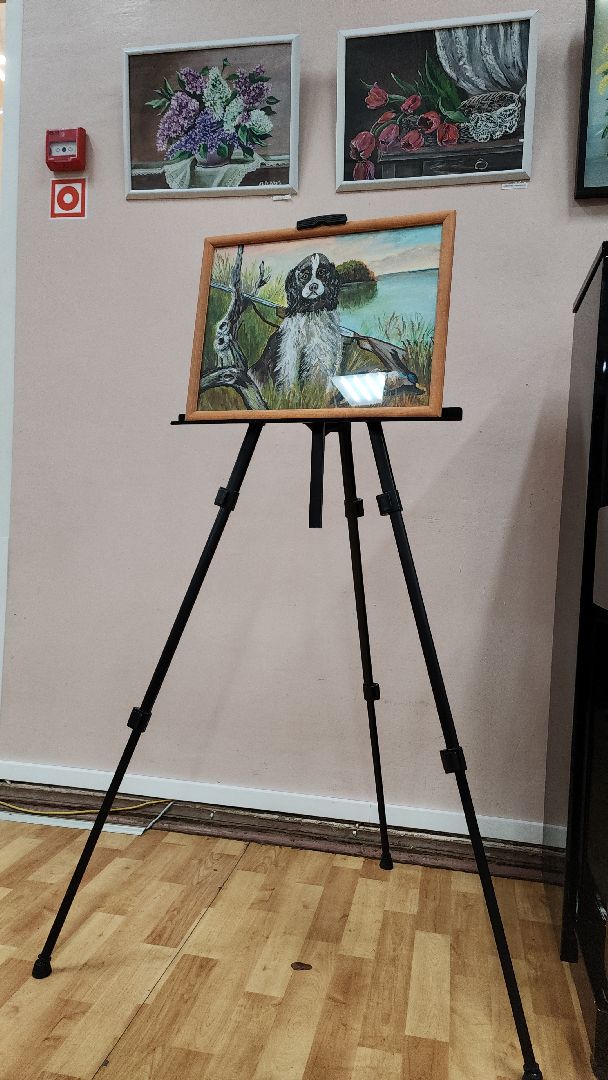 электросталь, культура подмосковья, культура электростали, художник, библиотека, библиотека паустовского, выставка картин,