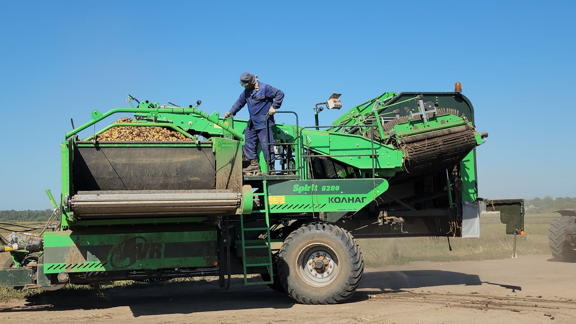 серпухов, ао дашковка, уборка урожая, капуста, сельское хозяйство,
