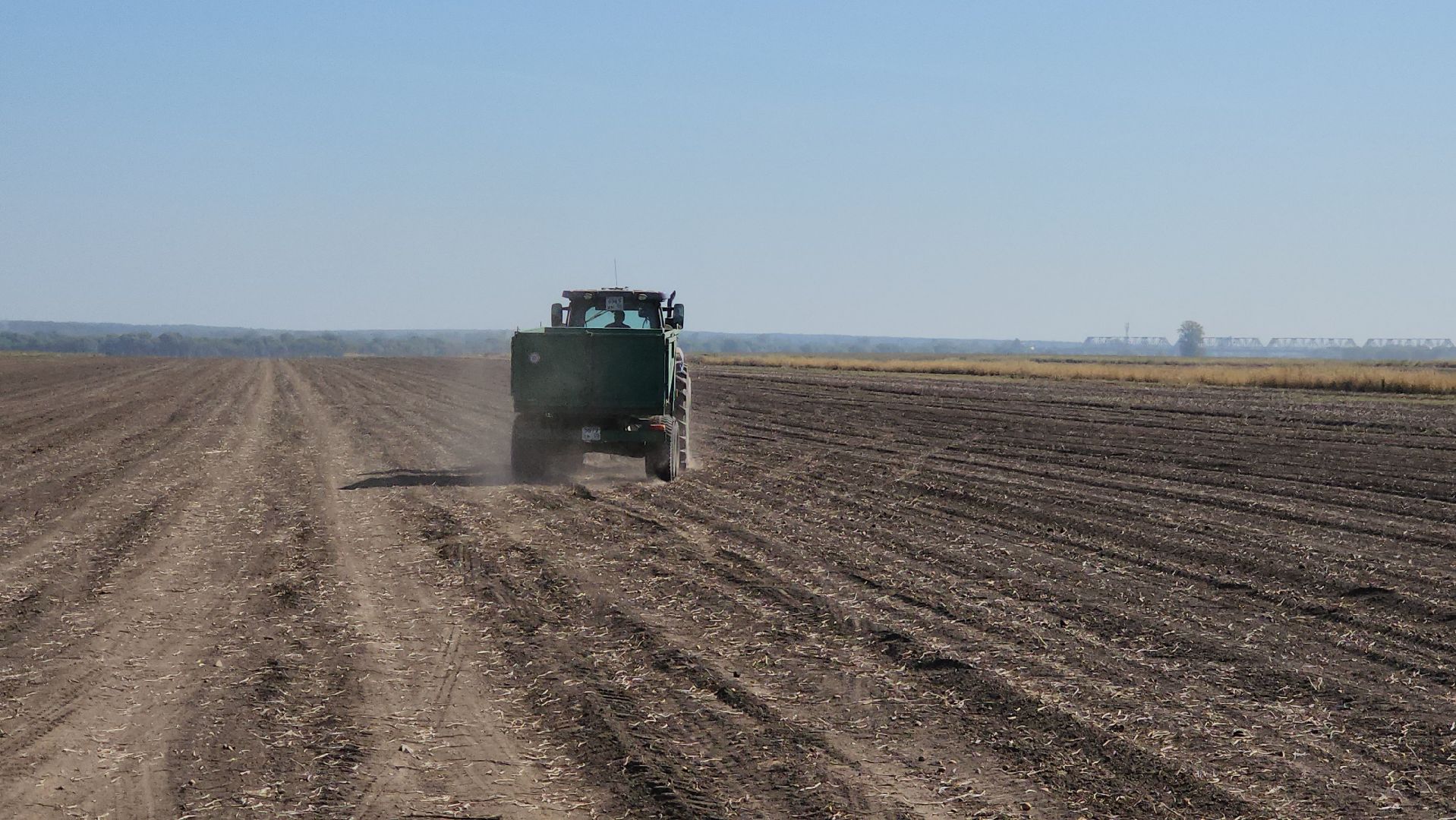 серпухов, ао дашковка, уборка урожая, капуста, сельское хозяйство,
