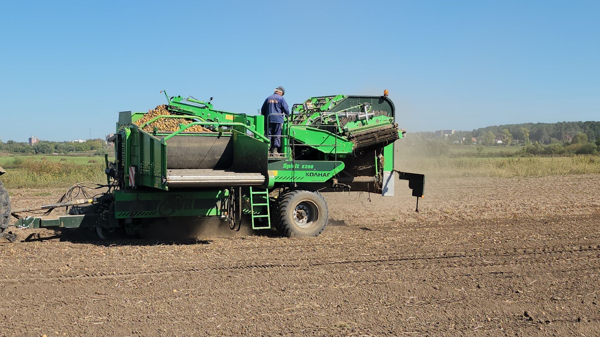 серпухов, ао дашковка, уборка урожая, капуста, сельское хозяйство,