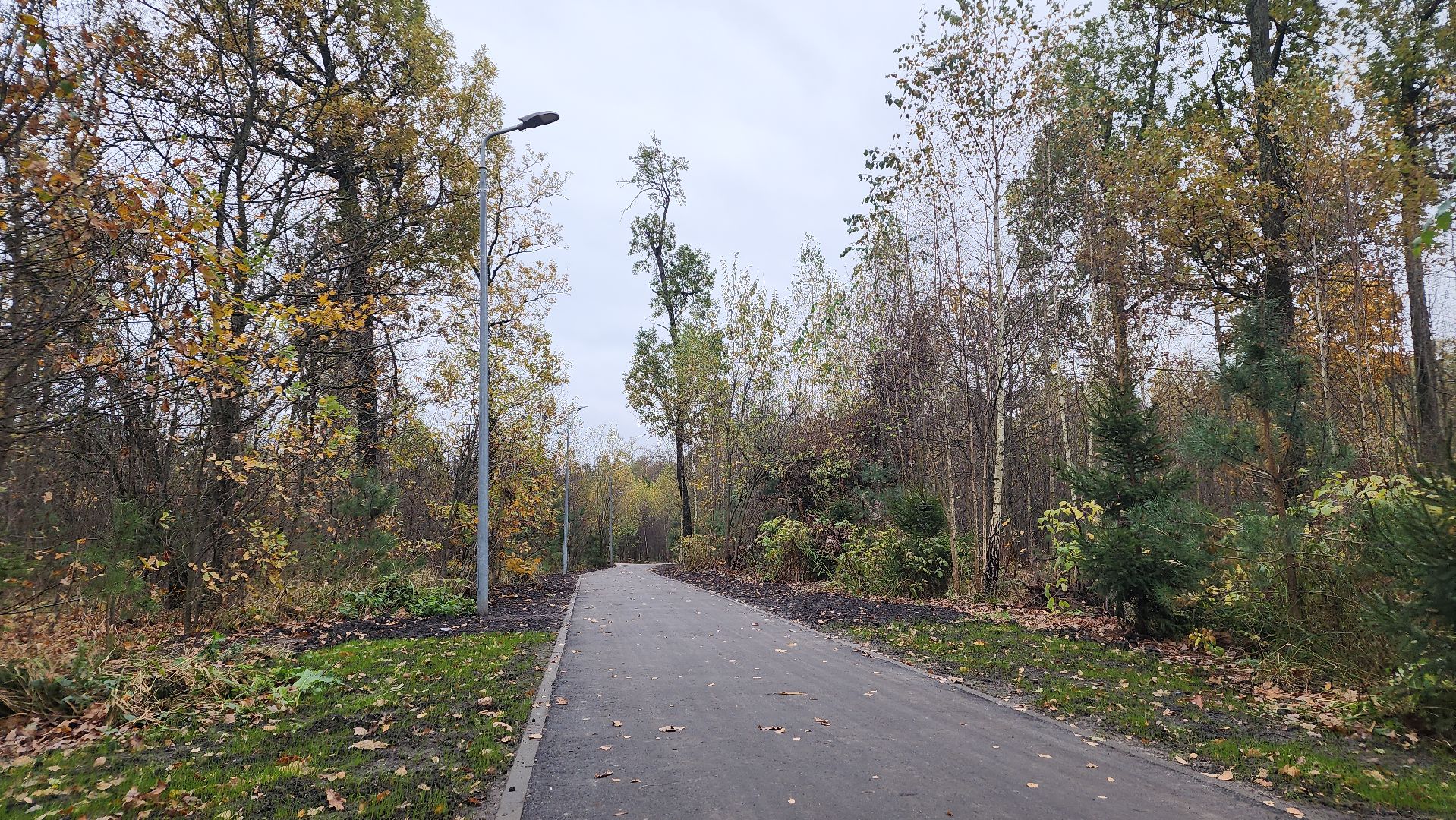 благоустройство, сквер, Лосино-Петровский,