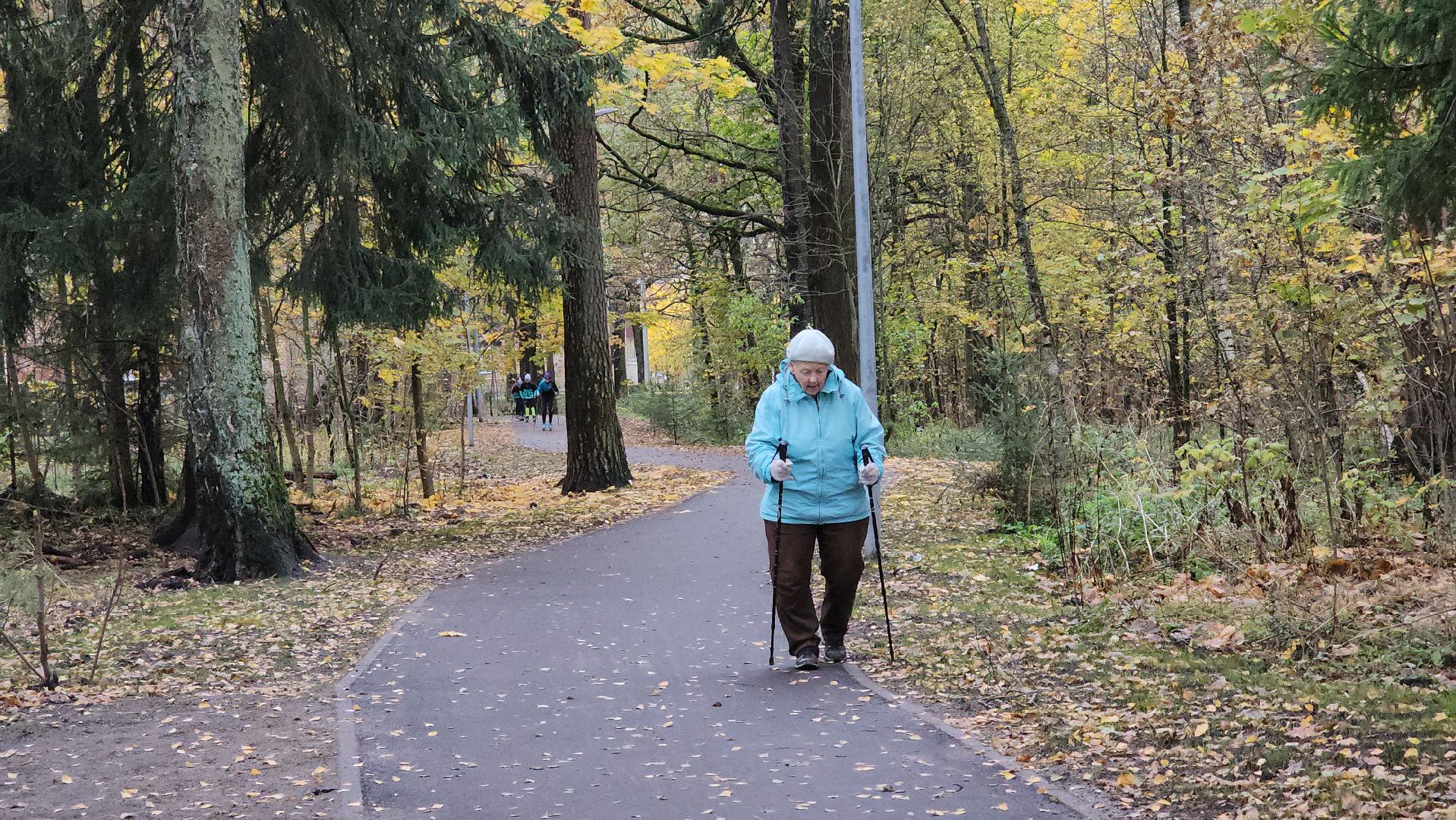 благоустройство, сквер, Лосино-Петровский,