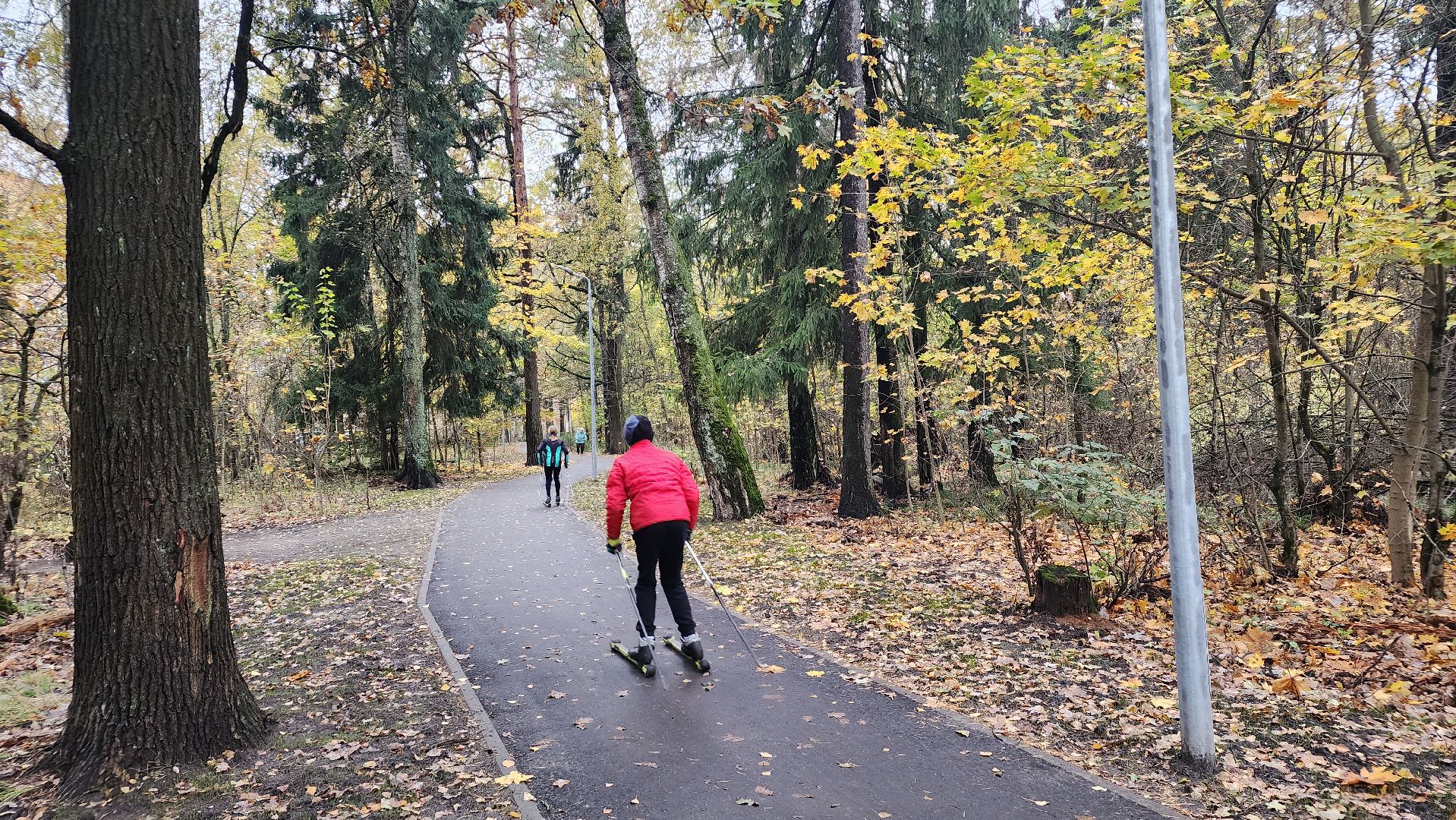 благоустройство, сквер, Лосино-Петровский,
