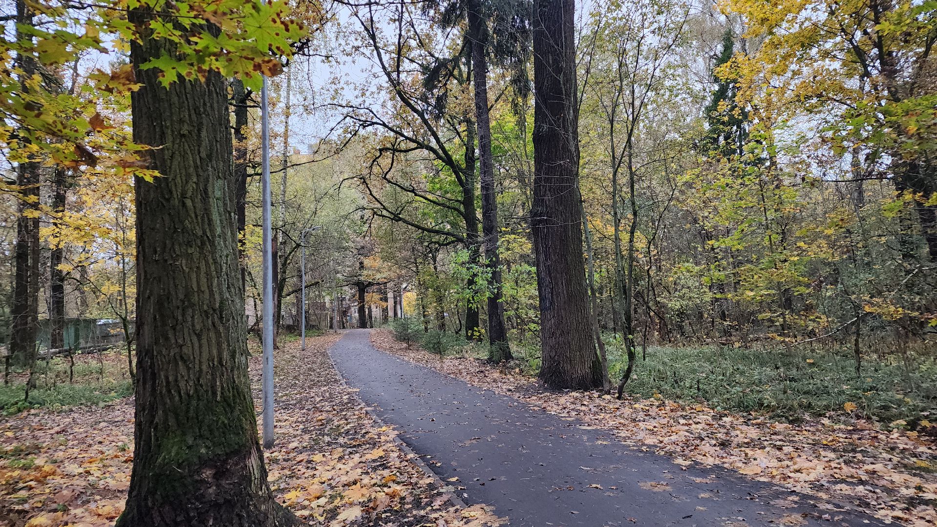 благоустройство, сквер, Лосино-Петровский,