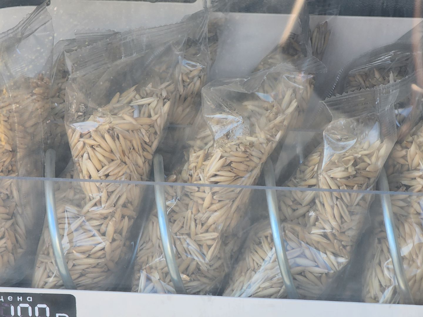 Зарайск, покорми уток, утки, корм для уток,