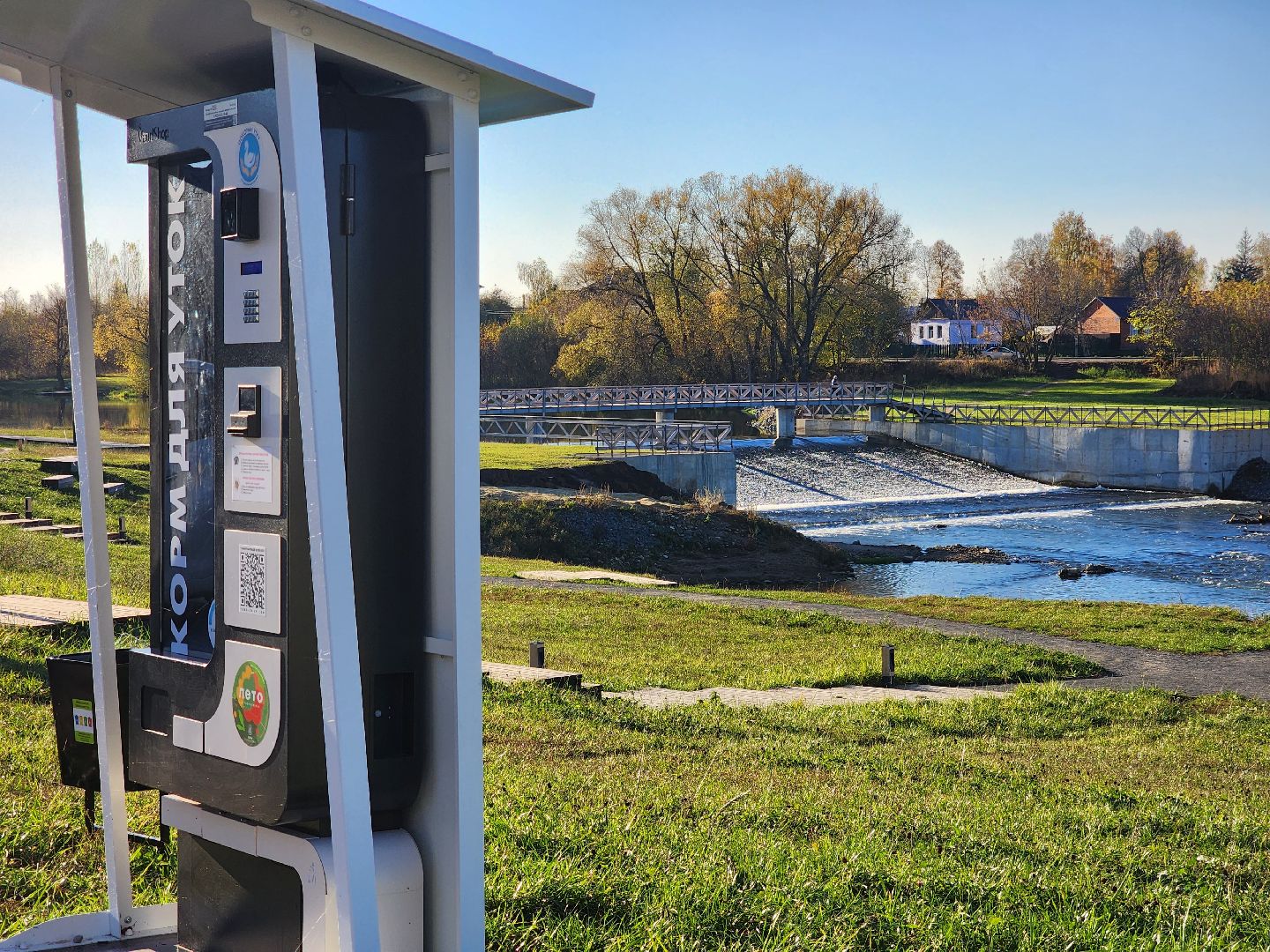 Зарайск, покорми уток, утки, корм для уток,