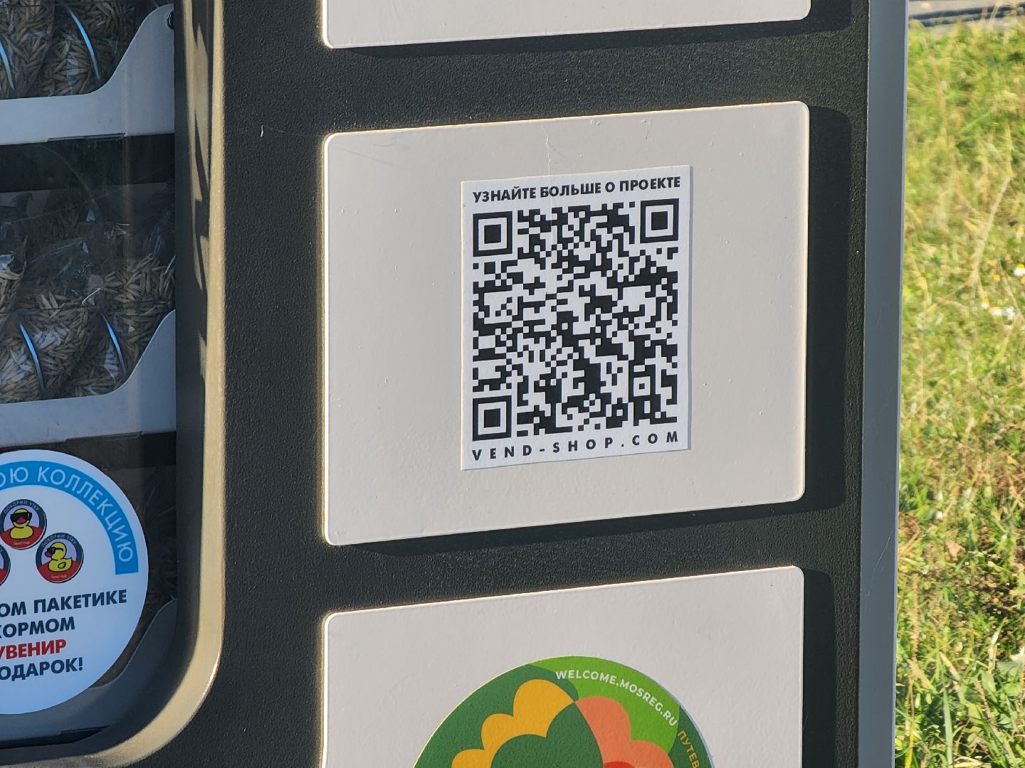 Зарайск, покорми уток, утки, корм для уток,