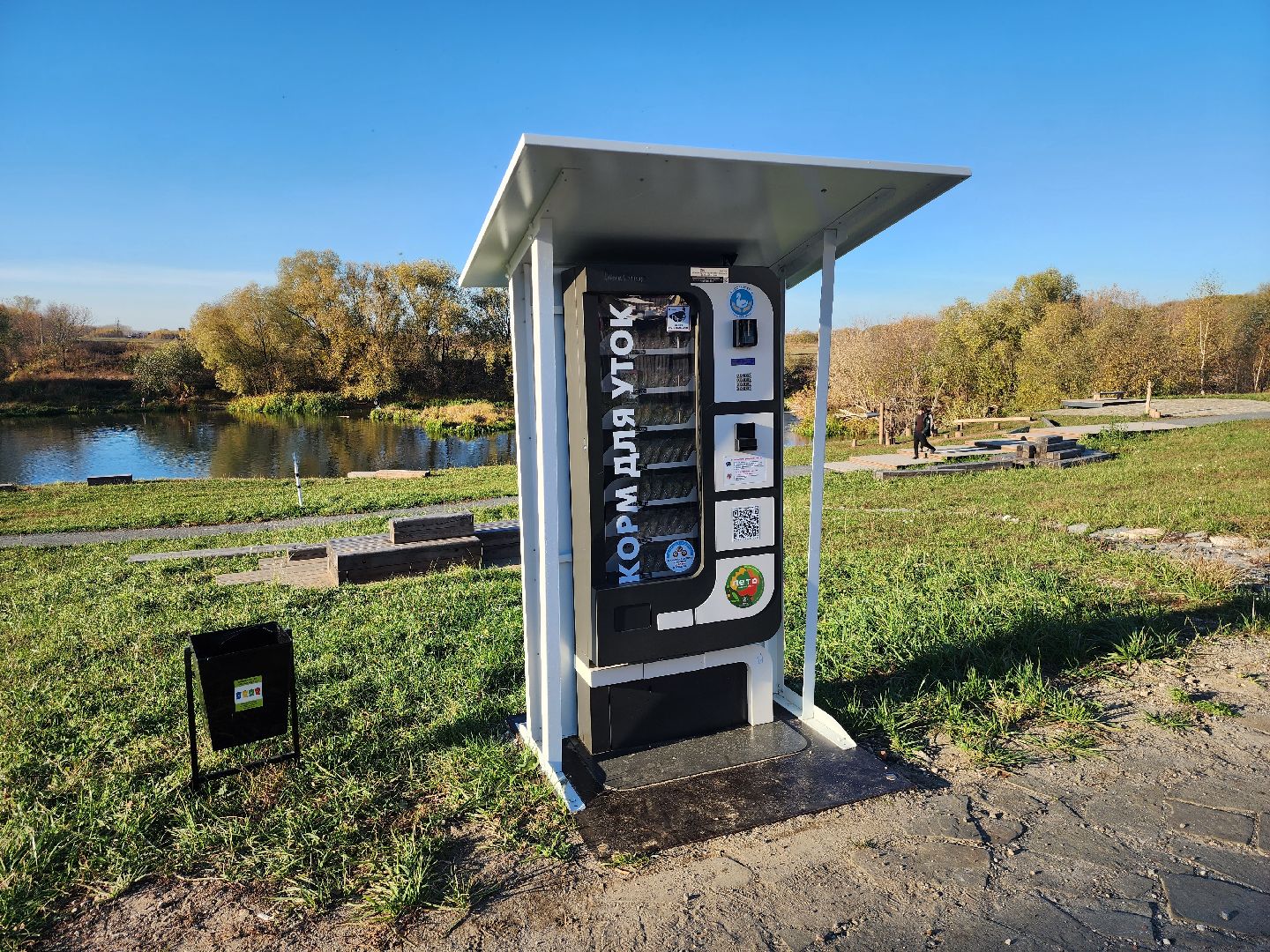 Зарайск, покорми уток, утки, корм для уток,