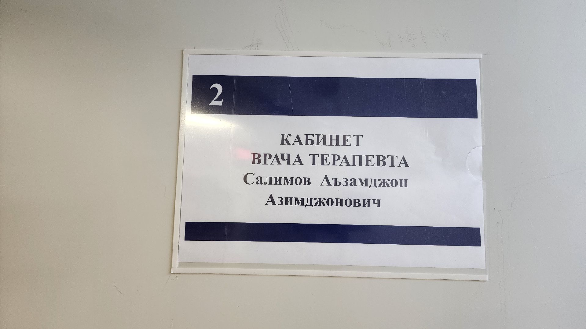 кашира, народный доктор, голосование,