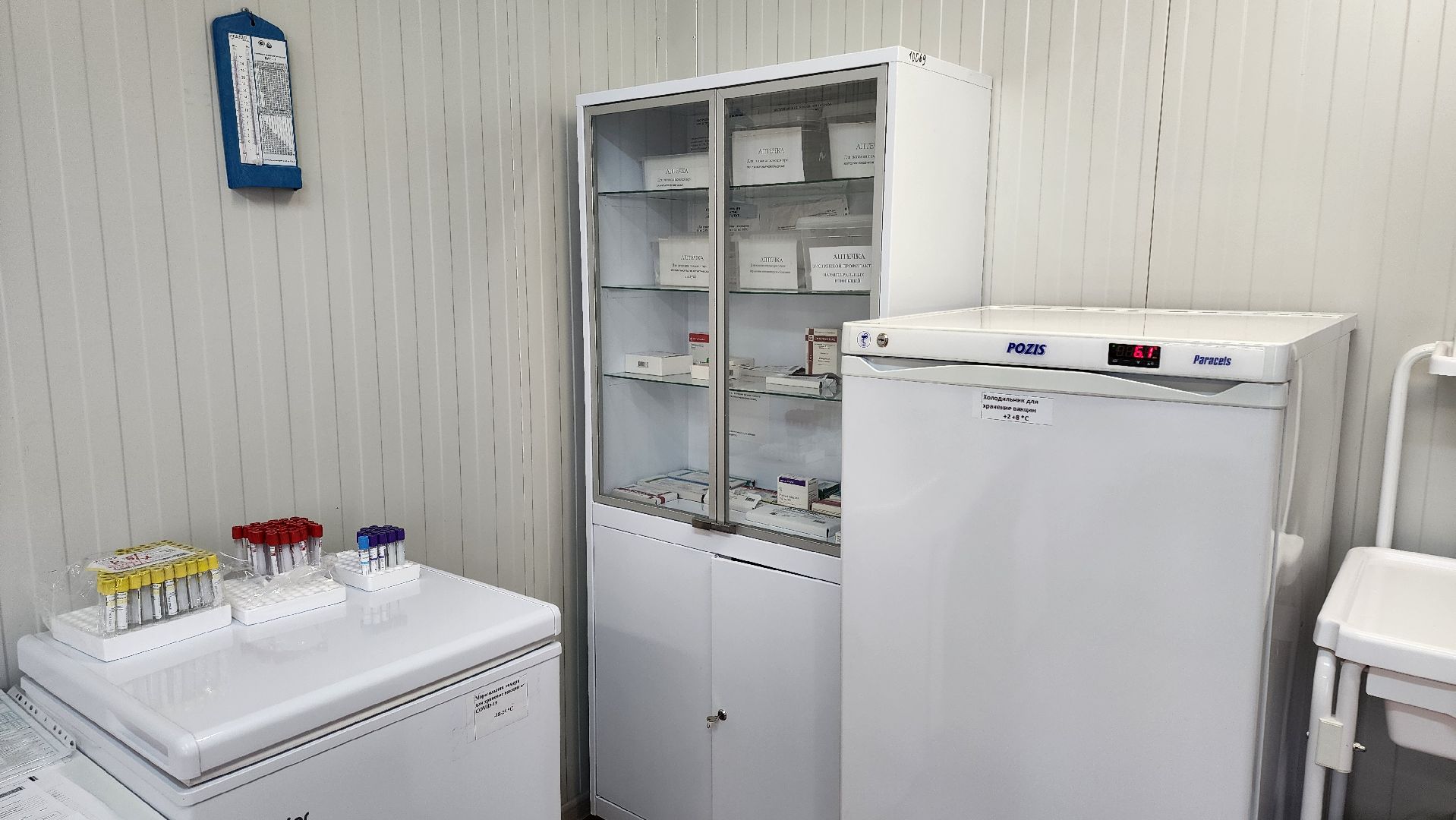 кашира, народный доктор, голосование,