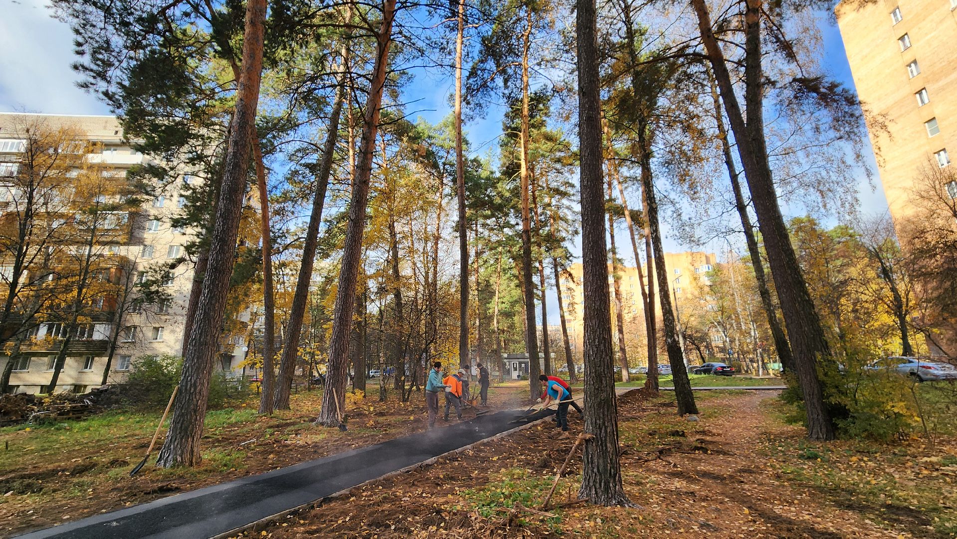 протвино, серпухов, тропиночная сеть, благоустройство, кбдт,