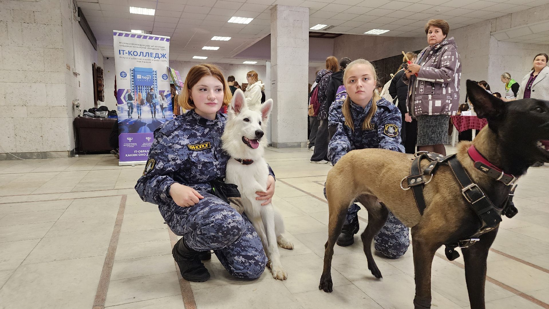 протвино, серпухов, профориентация молодежи, фестиваль профессий, профессиональное образование,