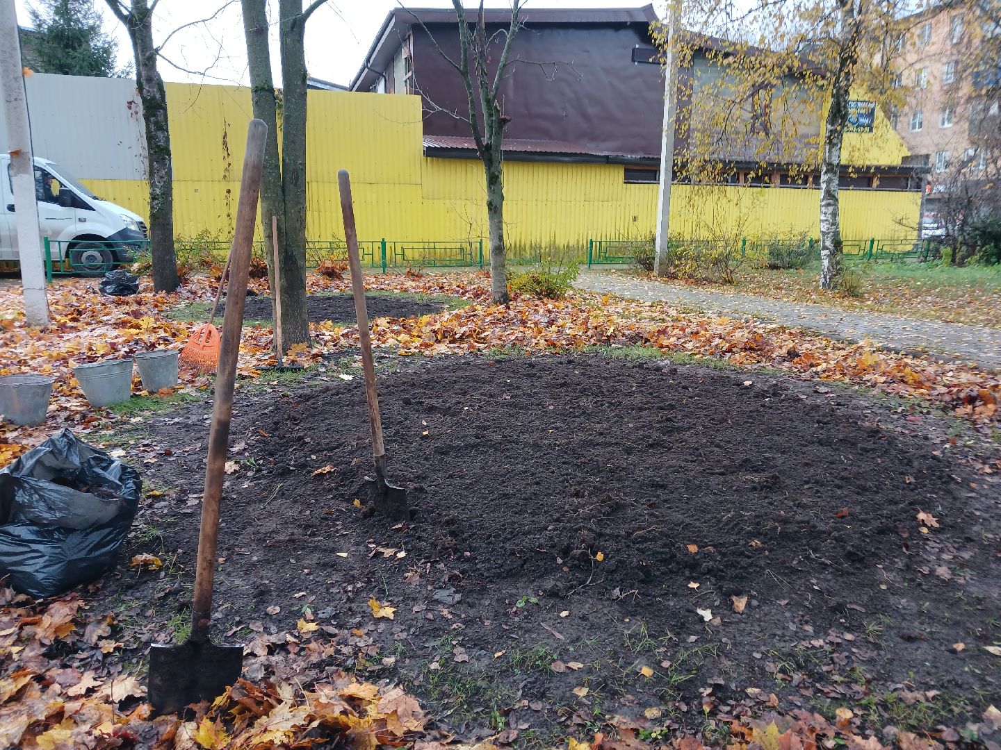 Тюльпаны, Клумбы, Луковицы, вертикалка,