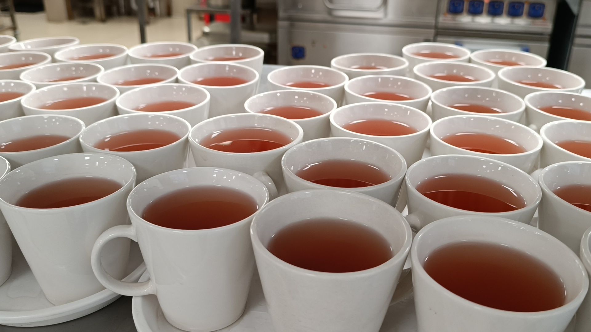 школьное питание, лобня, школа,