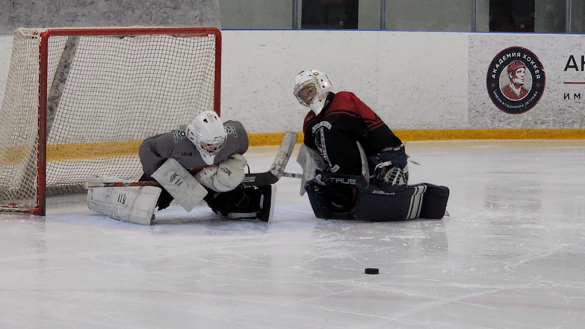 красногорск, цска, хоккей, тренер,