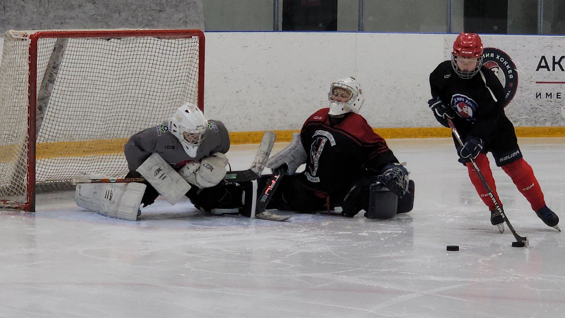 красногорск, цска, хоккей, тренер,