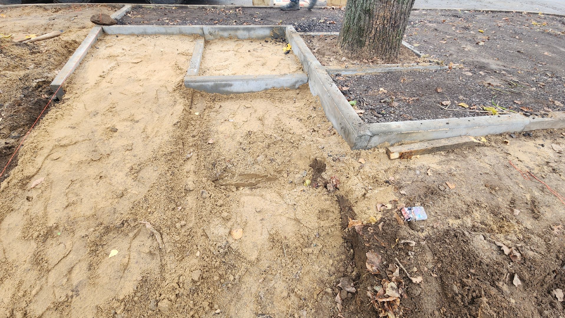 пушкино, автобусная остановка, площадка, жители, общественный транспорт, зеленые аллеи, липа,