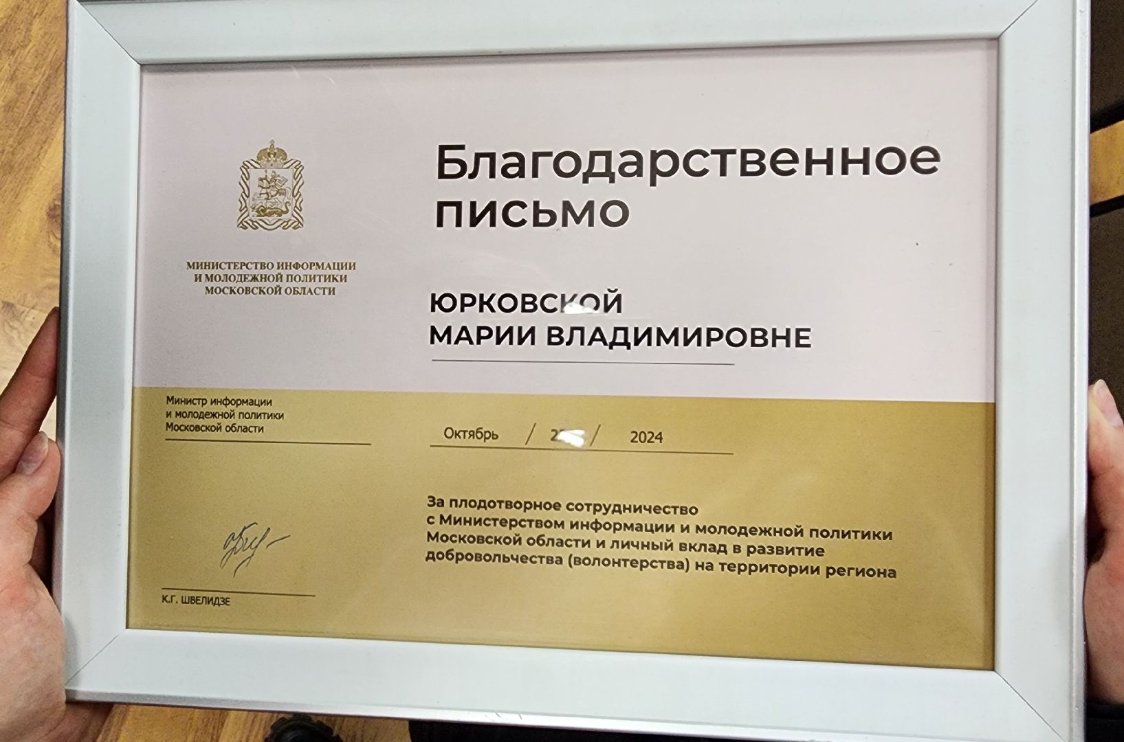 Бронницы, волонтры подмосковья, День добровольца, Волонтры Бронниц,