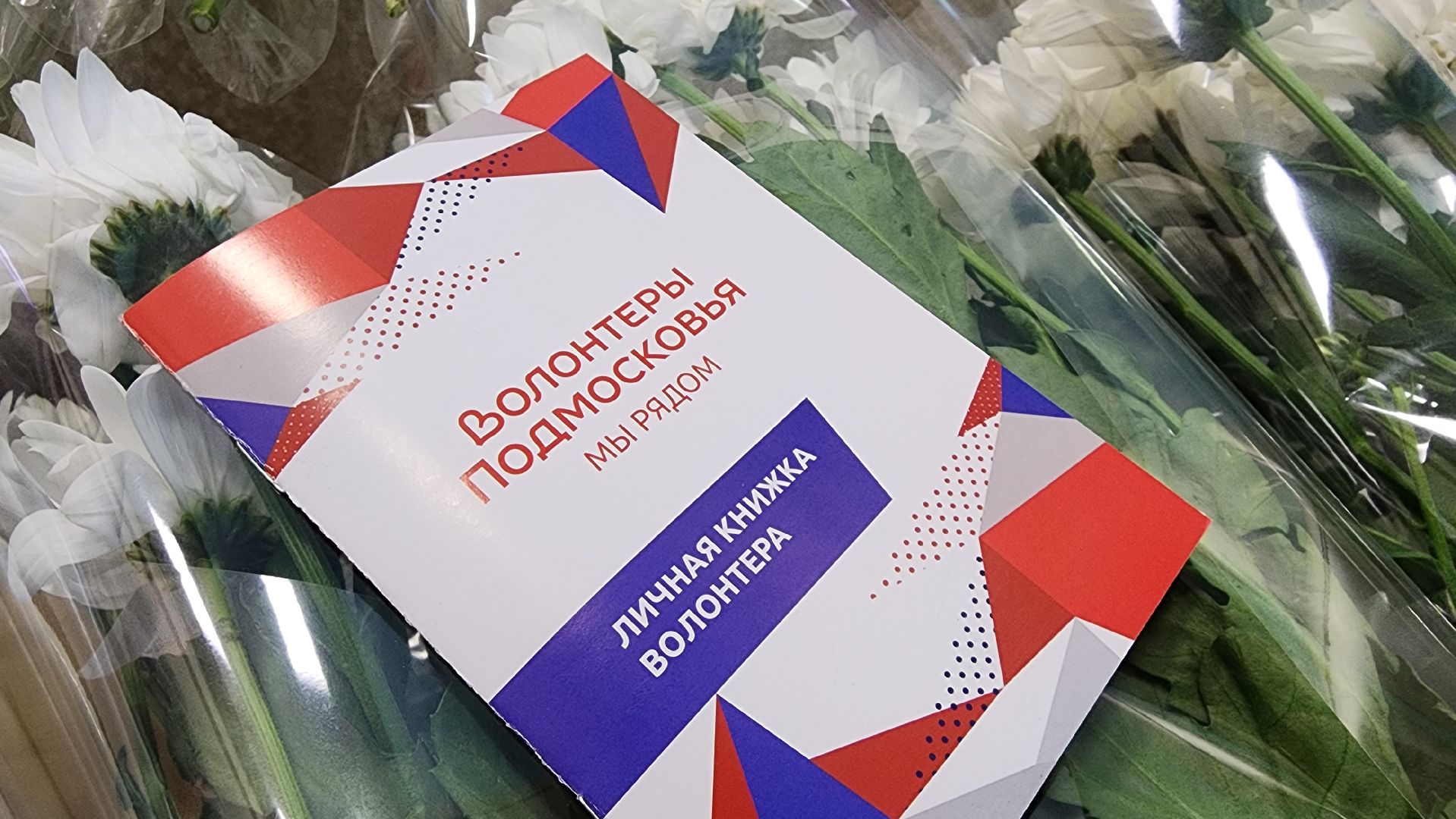 волонтеры, день добровольца московской области, Лосино-Петровский,