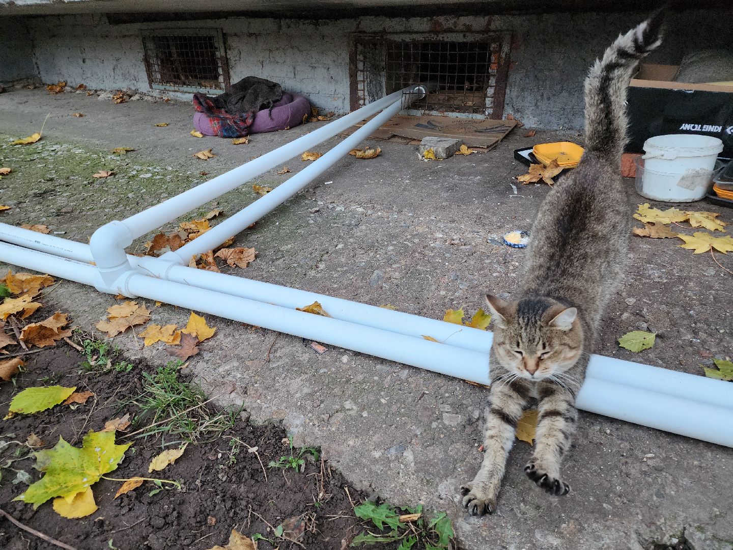 Черноголовка, отопительный сезон 2024-2025, Теплотрасса,