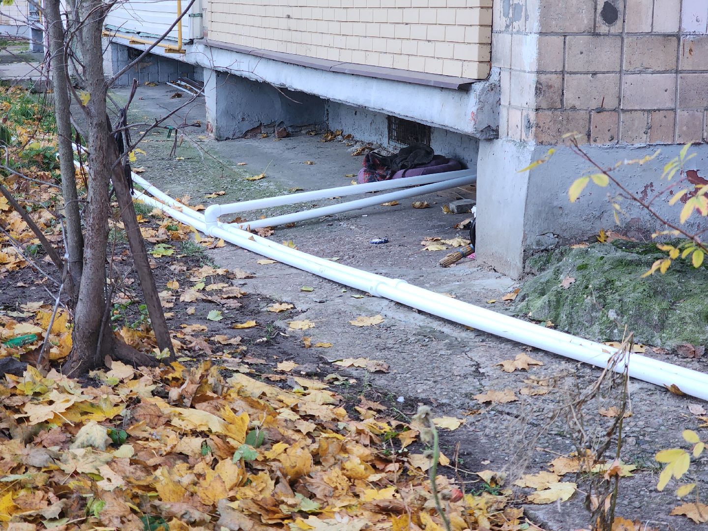 Черноголовка, отопительный сезон 2024-2025, Теплотрасса,