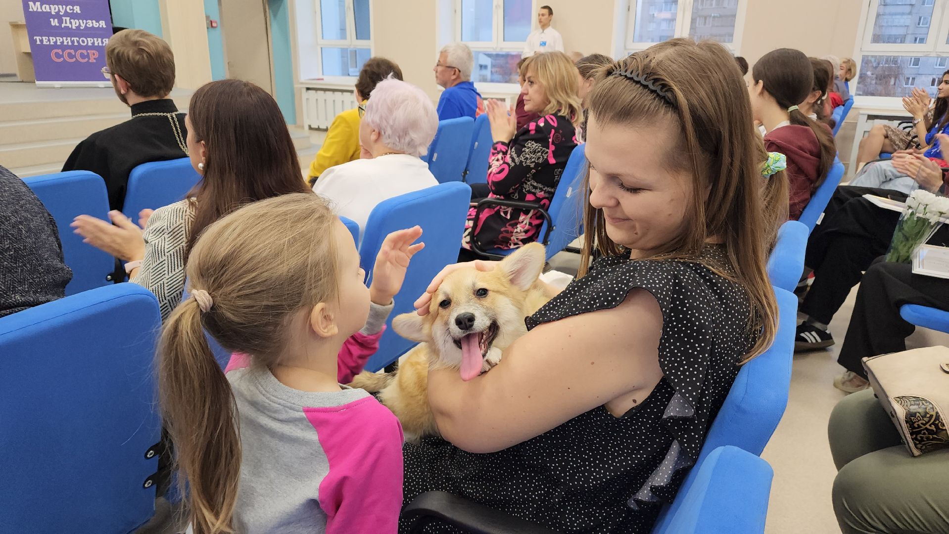 волонтеры, корги отряд, день добровольца московской области, Лосино-Петровский,