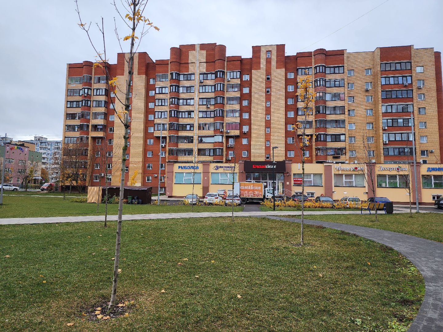 Дубна, Благоустройство, Новые деревья, Сквер,