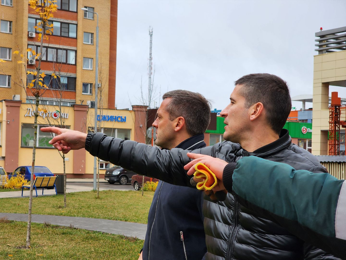 Дубна, Благоустройство, Новые деревья, Сквер,