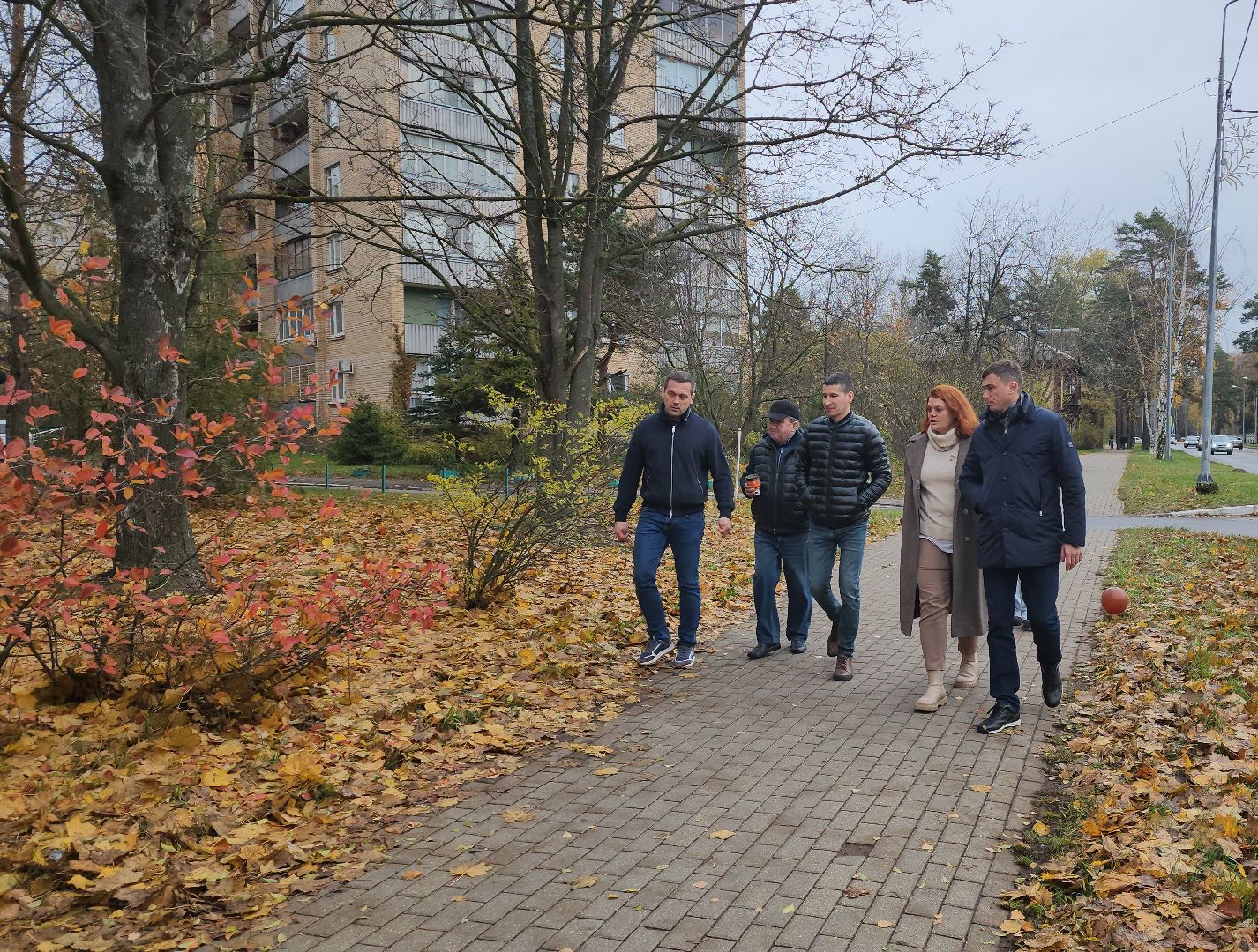 Дубна, Деревья, Подготовка к зиме, Благоустройство,