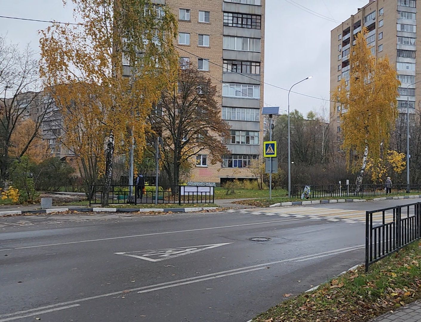 Дубна, Деревья, Подготовка к зиме, Благоустройство,