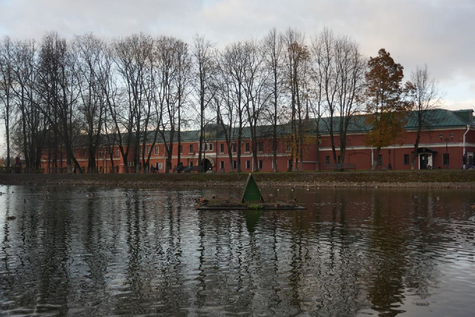 Огари, Сергиев Посад, Осень, Природа, Птицы, вертикалка,