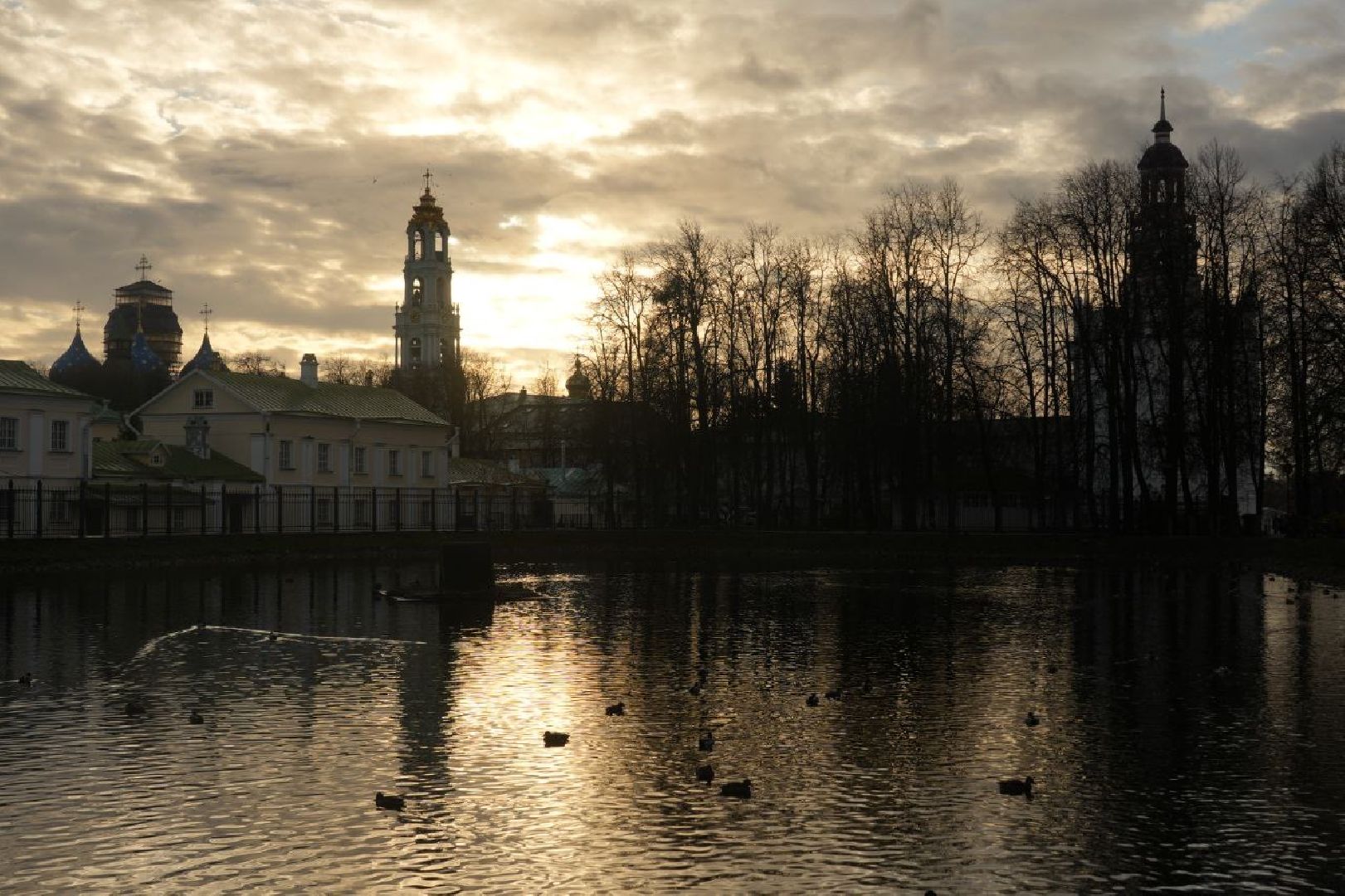 Огари, Сергиев Посад, Осень, Природа, Птицы, вертикалка,