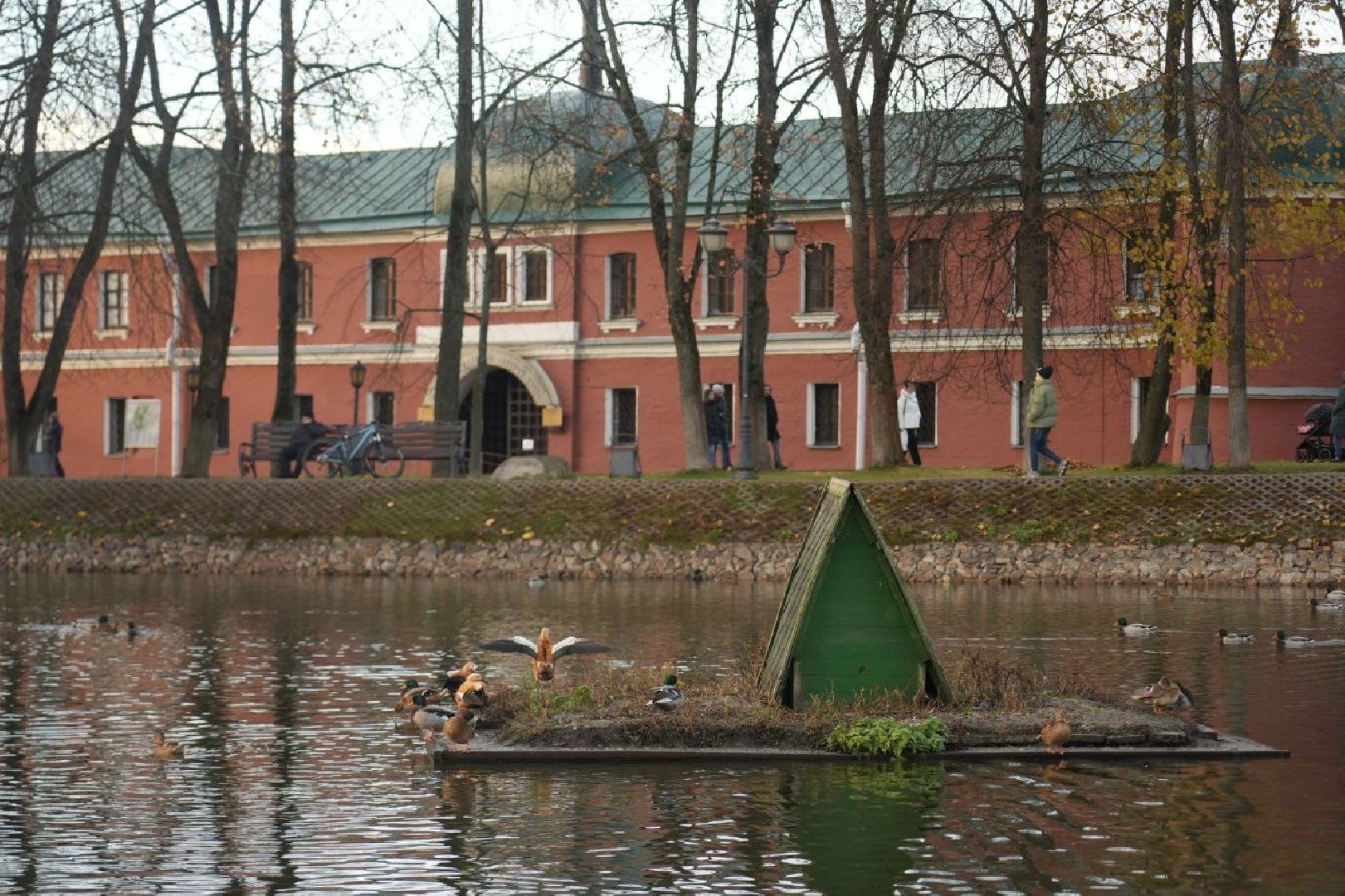 Огари, Сергиев Посад, Осень, Природа, Птицы, вертикалка,