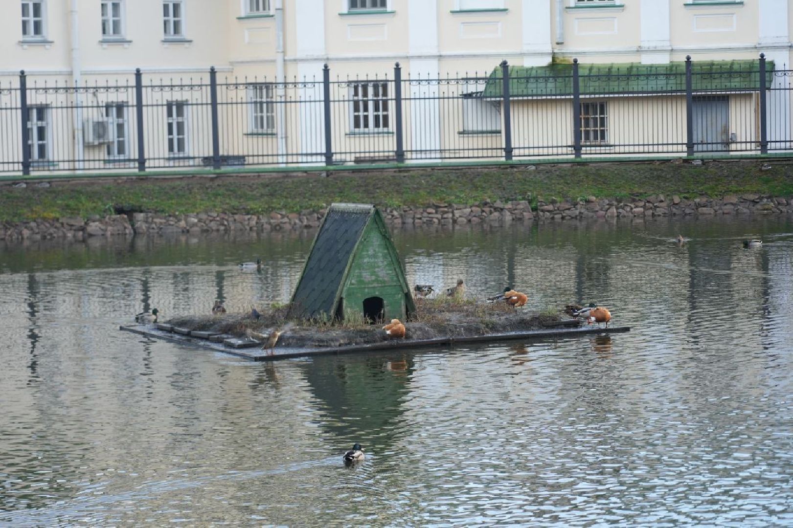 Огари, Сергиев Посад, Осень, Природа, Птицы, вертикалка,