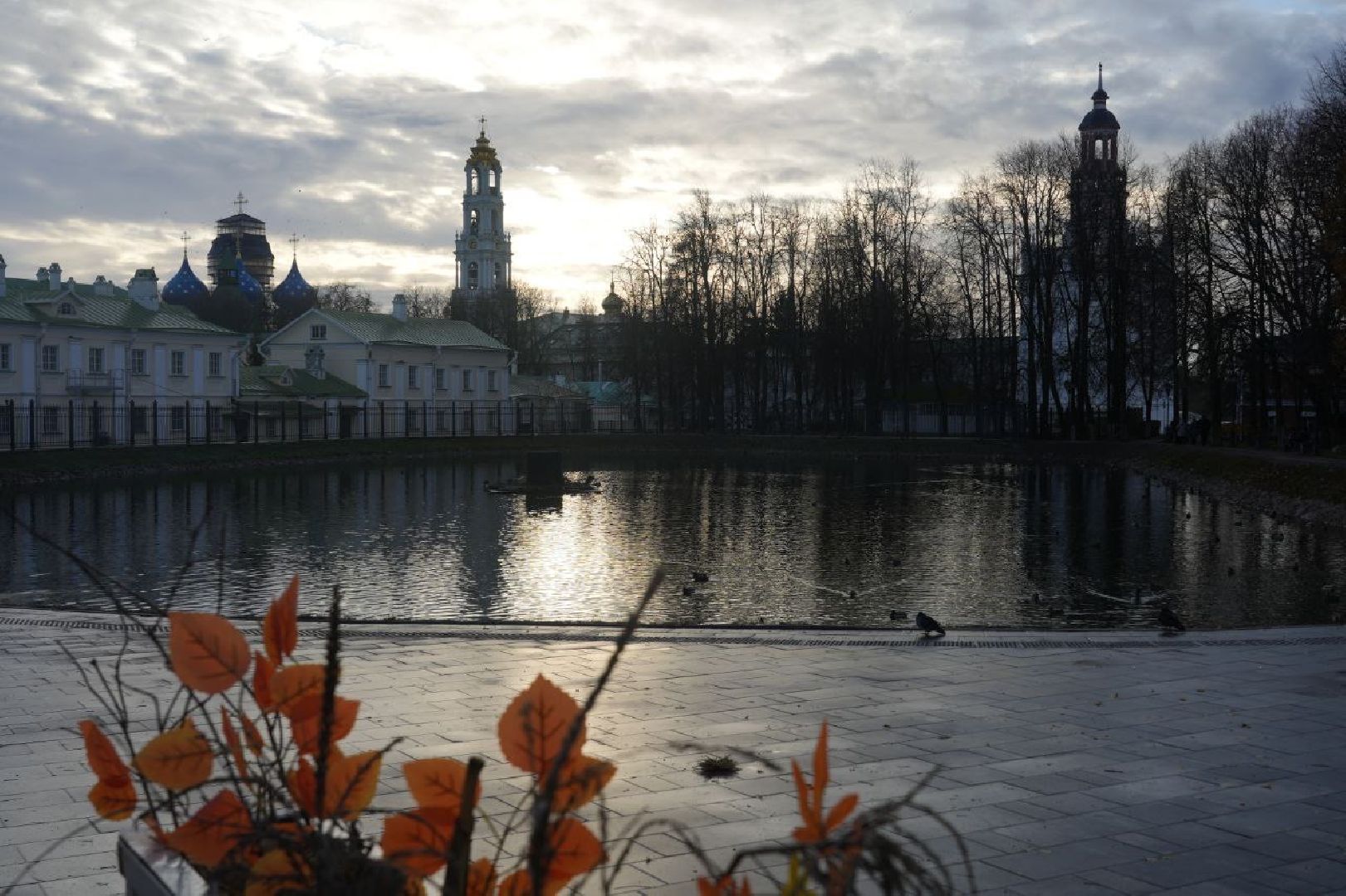 Огари, Сергиев Посад, Осень, Природа, Птицы, вертикалка,