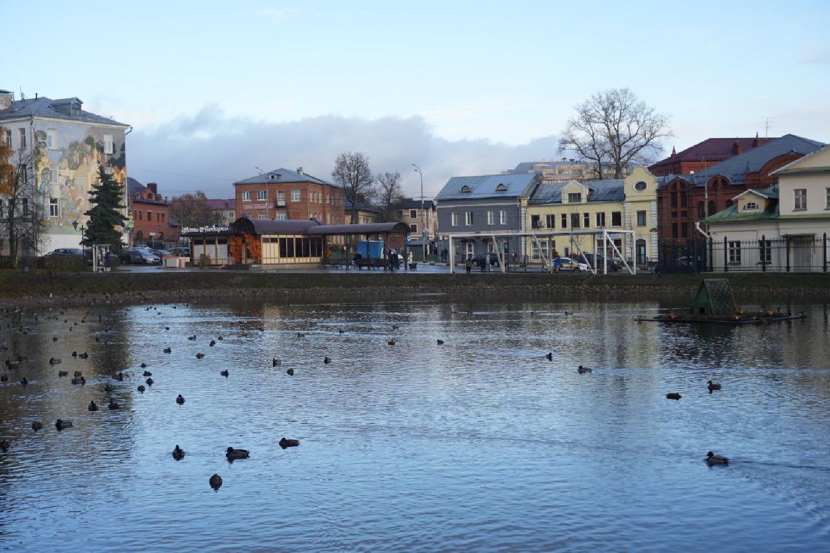 Огари, Сергиев Посад, Осень, Природа, Птицы, вертикалка,